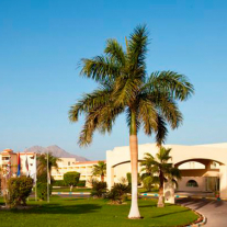 Sol Taba Red Sea Resort (Ex-Sonesta Taba) 5*