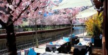 Art Hotel 4*