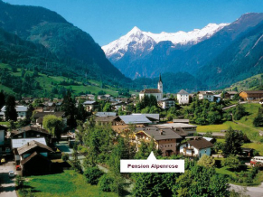 Pension Alpenrose панорама