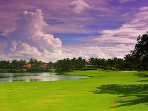Melia Caribe Tropical гольф