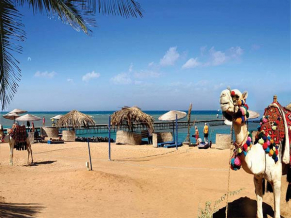 Dawar El Omda пляж 1