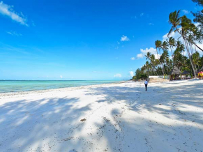 Dream Of Zanzibar пляж 1
