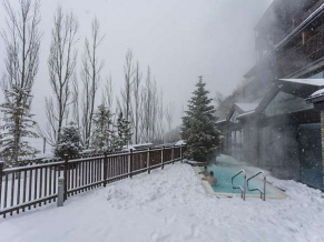 Piolets Park & Spa бассейн 4