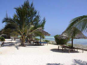 Tanzanite Beach Resort территория 1