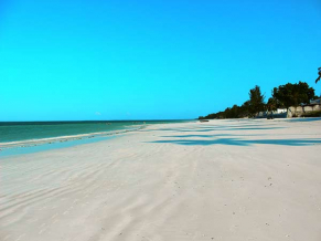Uroa Bay Beach Resort пляж 1
