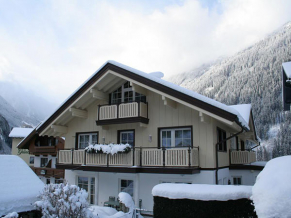 Domizil Zillertal Apartments фасад 2