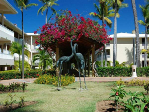 Sirenis Punta Cana Resort Casino & Aquagames территория 1