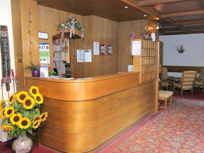 Alpenhof 3*. Рецепция