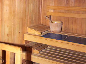 Alpenhof 3*. Сауна