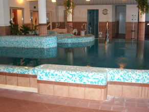 Spa Heviz 4*. Бассейн