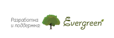 evergreens