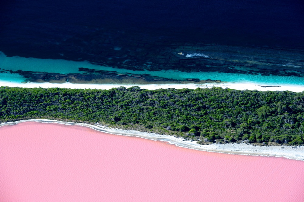 Розовое озеро Хиллер.