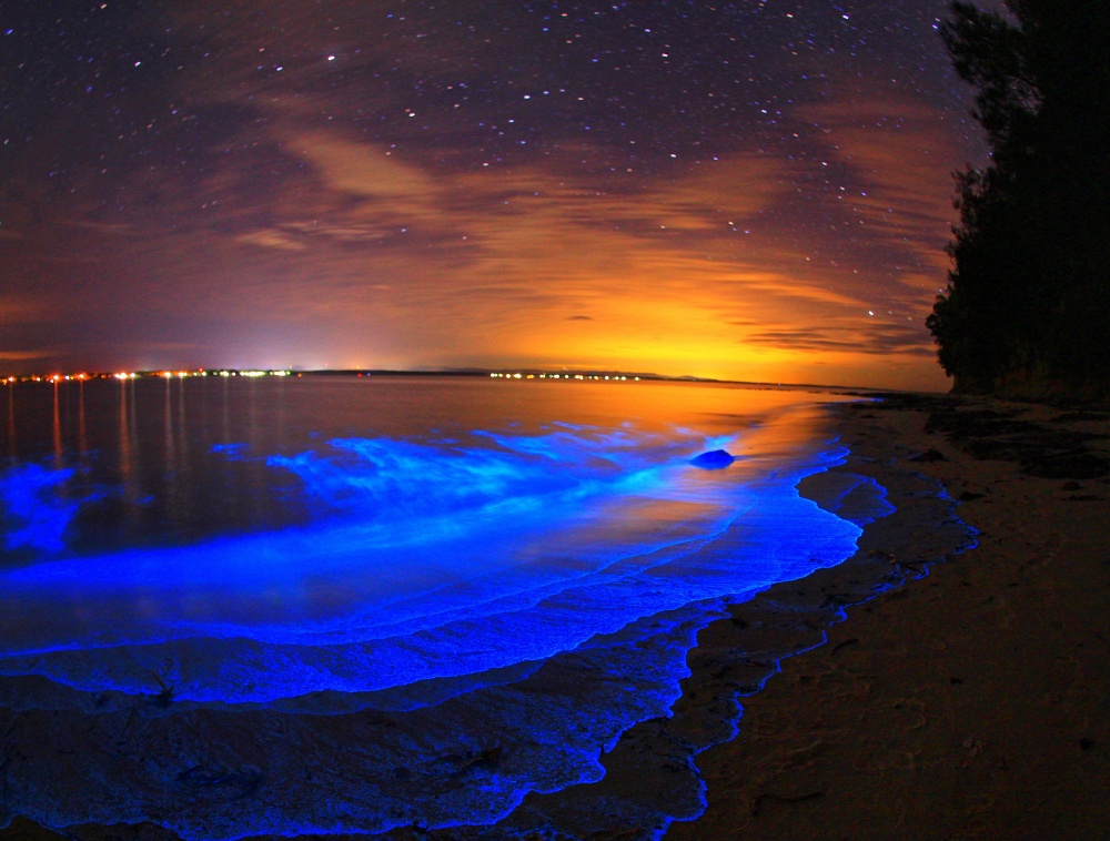 Биолюминесценция в озерах Джипсленд.
