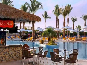 Hilton Sharm Sharks Bay бар