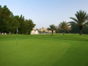 Hilton Al Hamra Beach & Golf Resort гольф