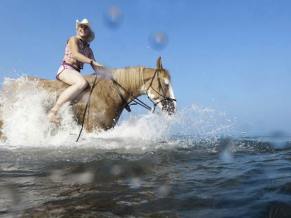 Horse Country Resort Congress & SPA прогулки на лошадях