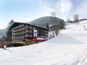 Sporthotel Alpin 4*. Панорама