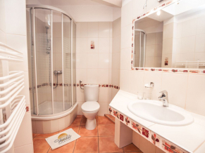 Villa Verdi Pleasure & Spa 3*. Ванная комната